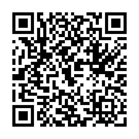 QR code for 2S93920