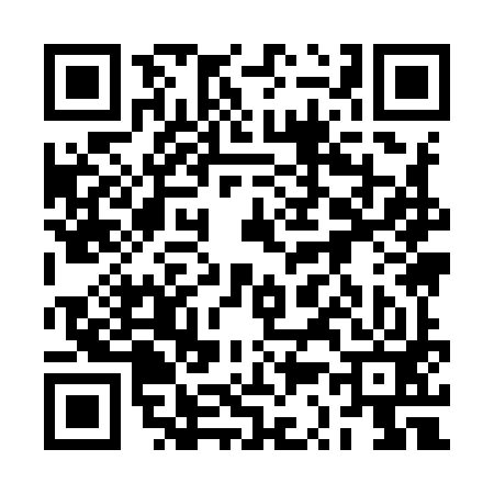 QR code for 2S9993P