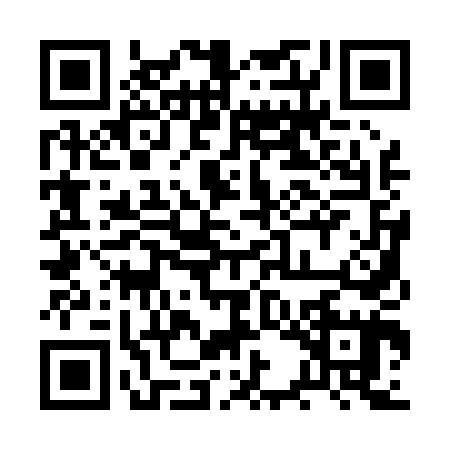 QR code for 2SA0453