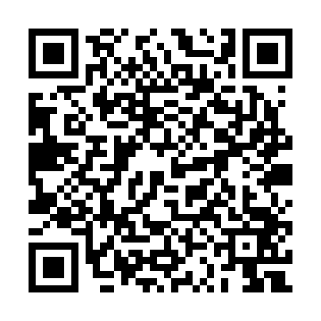 QR code for 2SAR435