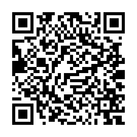 QR code for 2SDP678