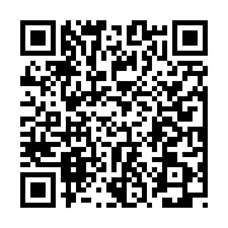 QR code for 2SG4819