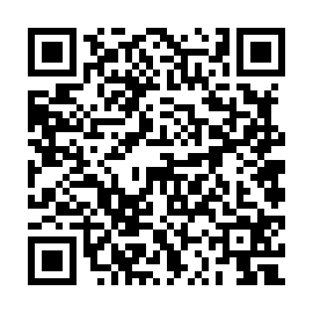 QR code for 2SV8243