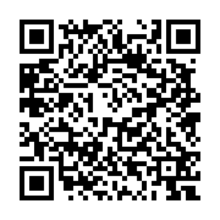 QR code for 2T04229