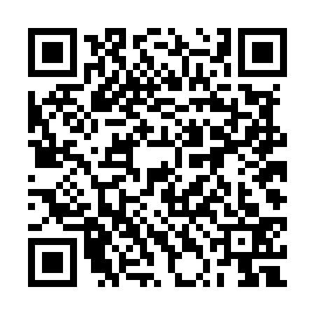 QR code for 2TDM333