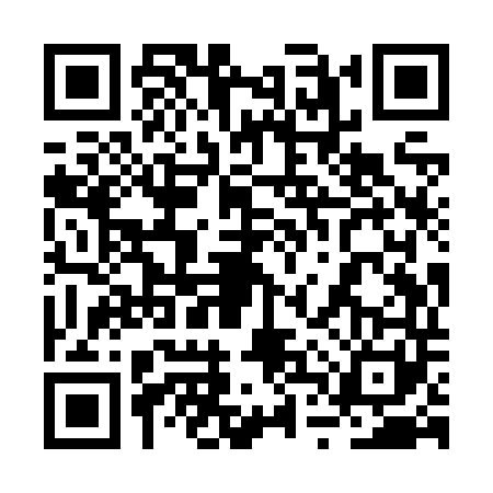 QR code for 2TYZ410