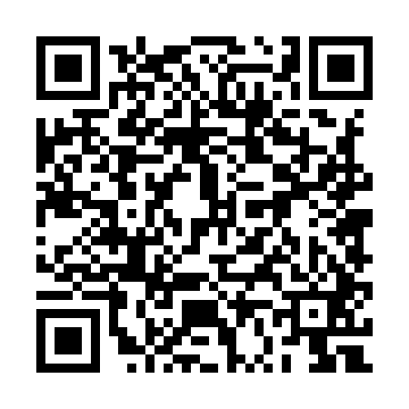 QR code for 2V4941P