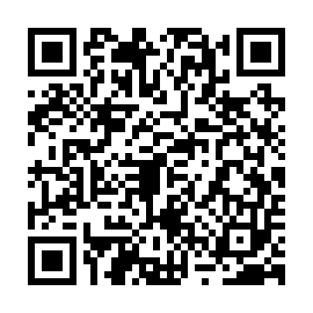 QR code for 2VSR533