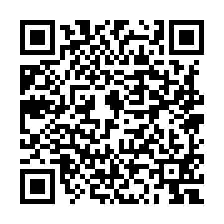 QR code for 2Z19911