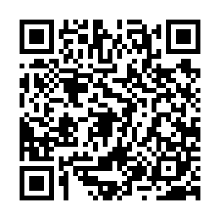 QR code for 2Z46403