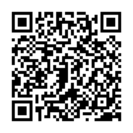 QR code for 2Z9010S