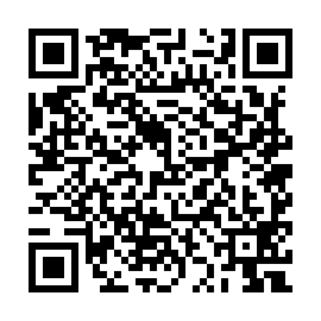 QR code for 2ZG9993