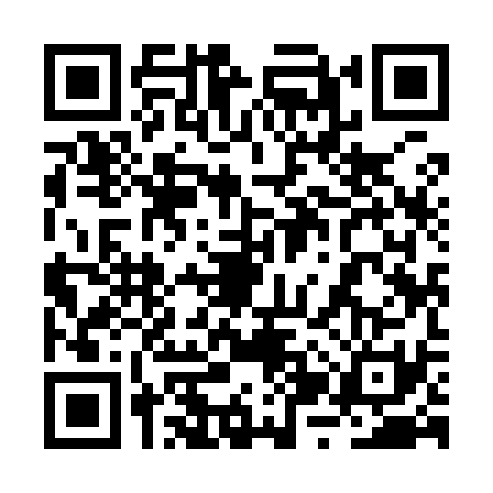 QR code for 2ZY9313