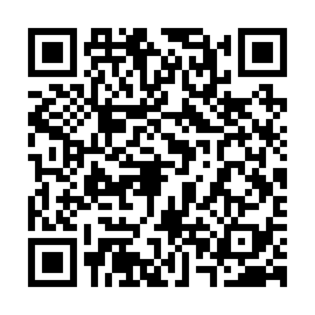 QR code for 30CR393