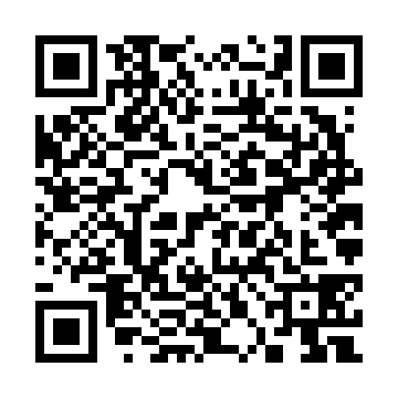 QR code for 30FF386