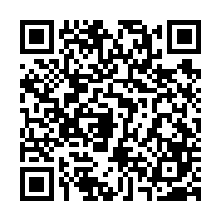 QR code for 30FF463