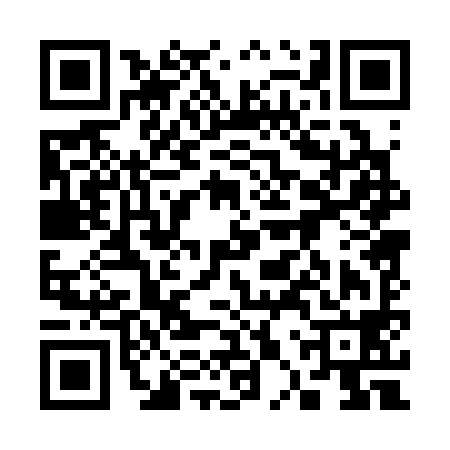 QR code for 30P398N
