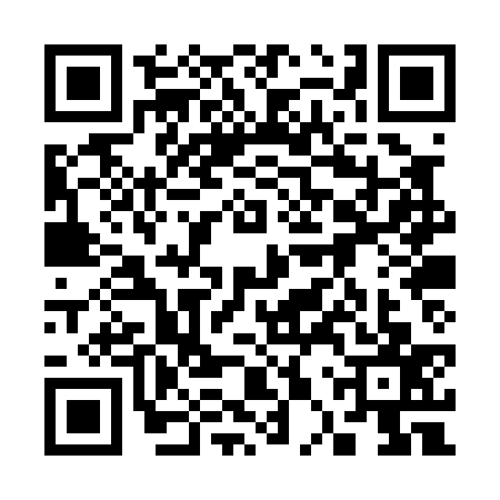 QR code for 30PP378