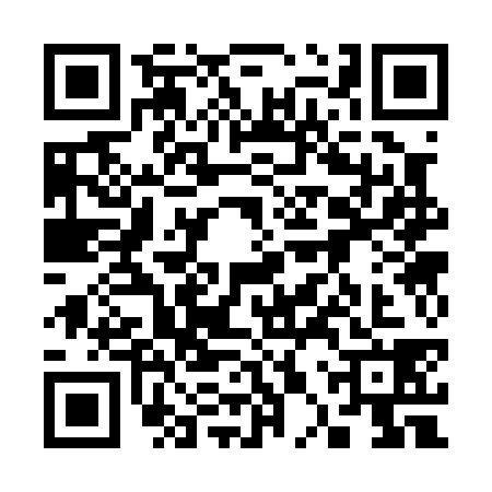 QR code for 30S0384