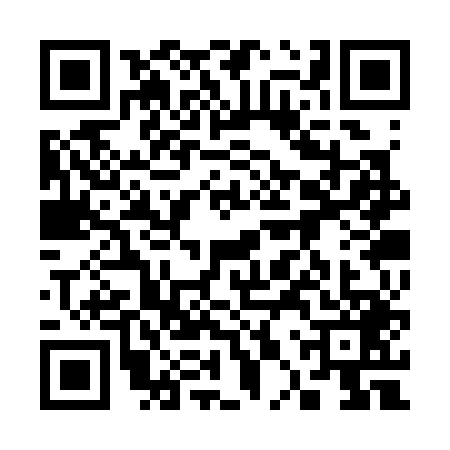 QR code for 30SS498