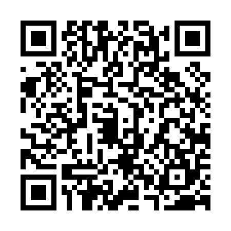QR code for 30T0542