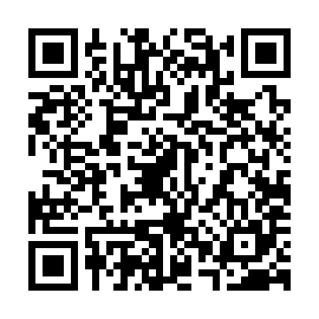 QR code for 30T385S