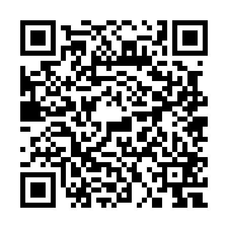 QR code for 30Z003T