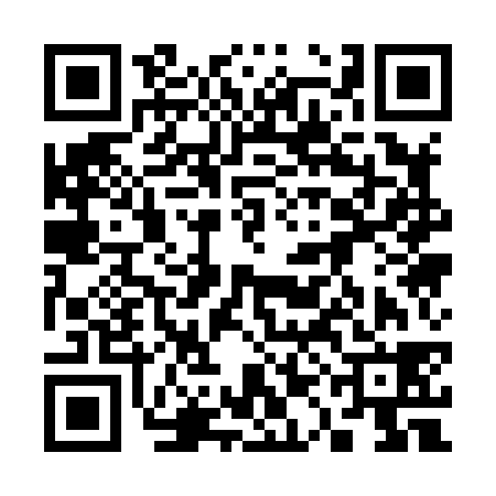 QR code for 31A838C