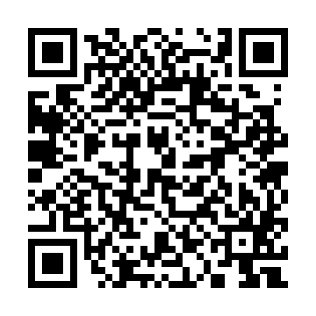 QR code for 31C385H
