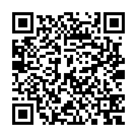 QR code for 31HP395