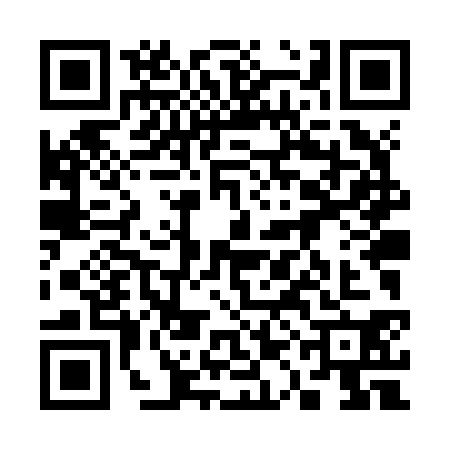 QR code for 31LZ303