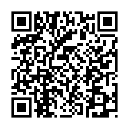 QR code for 31MS729