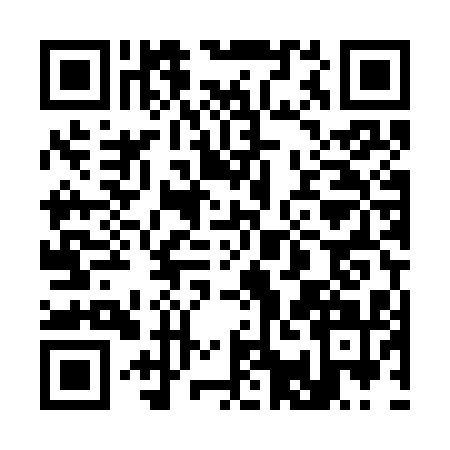 QR code for 31MSA11