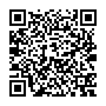 QR code for 31MZ305