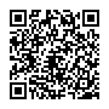 QR code for 31N3338