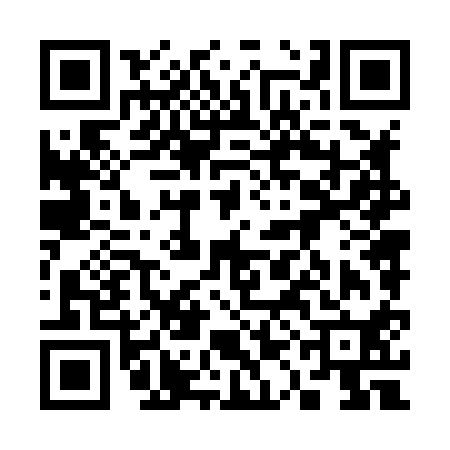 QR code for 31N810H