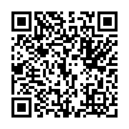 QR code for 31P241Y