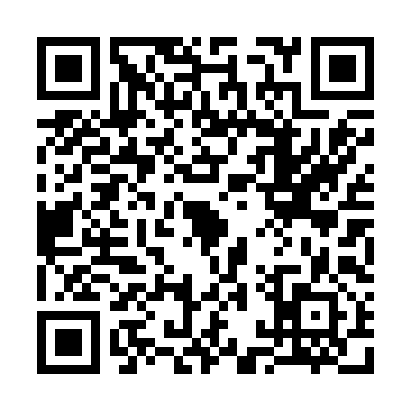 QR code for 31P292Z