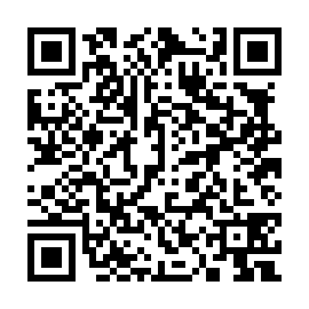 QR code for 31PL382