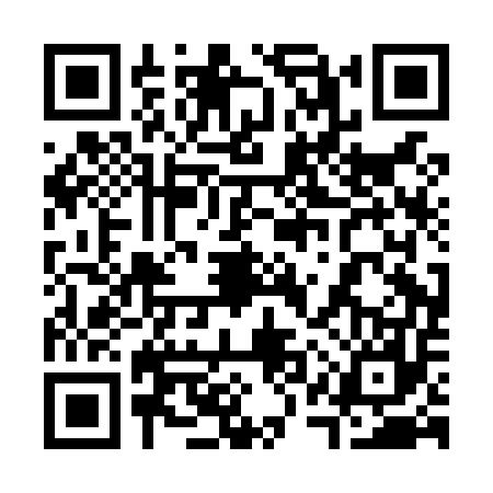 QR code for 31PL575