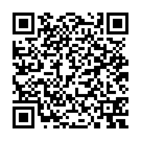 QR code for 31PNS08