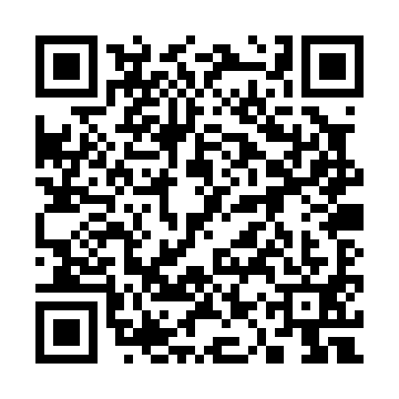 QR code for 31PP916