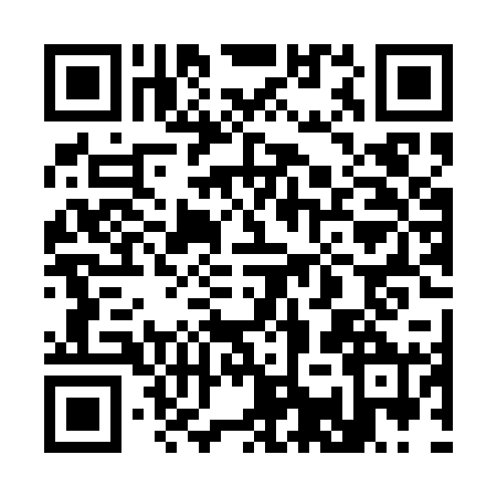 QR code for 31PPR00