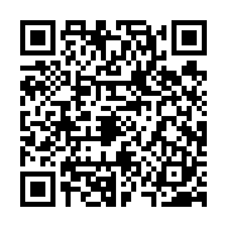 QR code for 31PV234