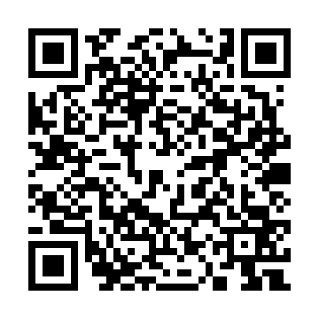 QR code for 31PV634