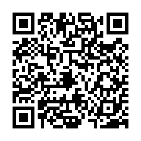 QR code for 31S511M