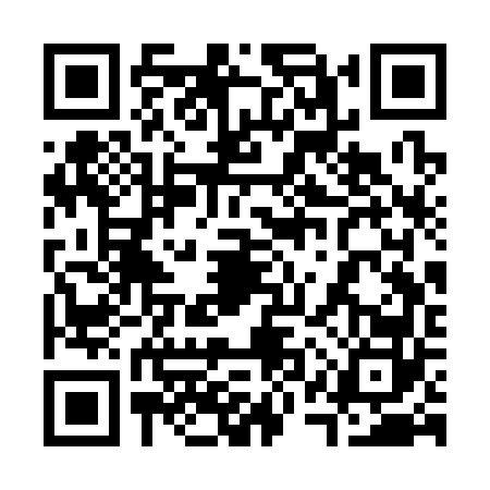 QR code for 31SS620