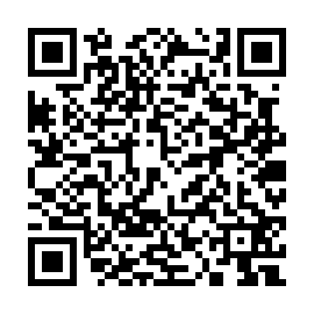 QR code for 31WP221