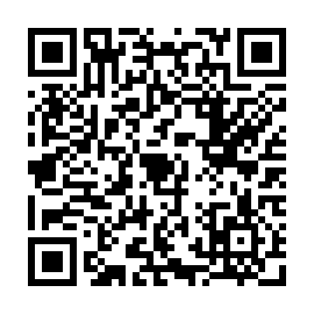 QR code for 32V317S