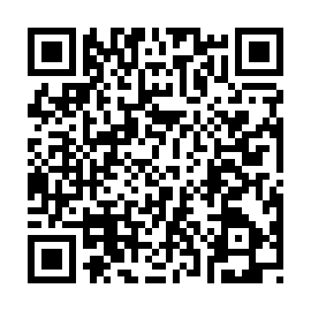 QR code for 33AA971